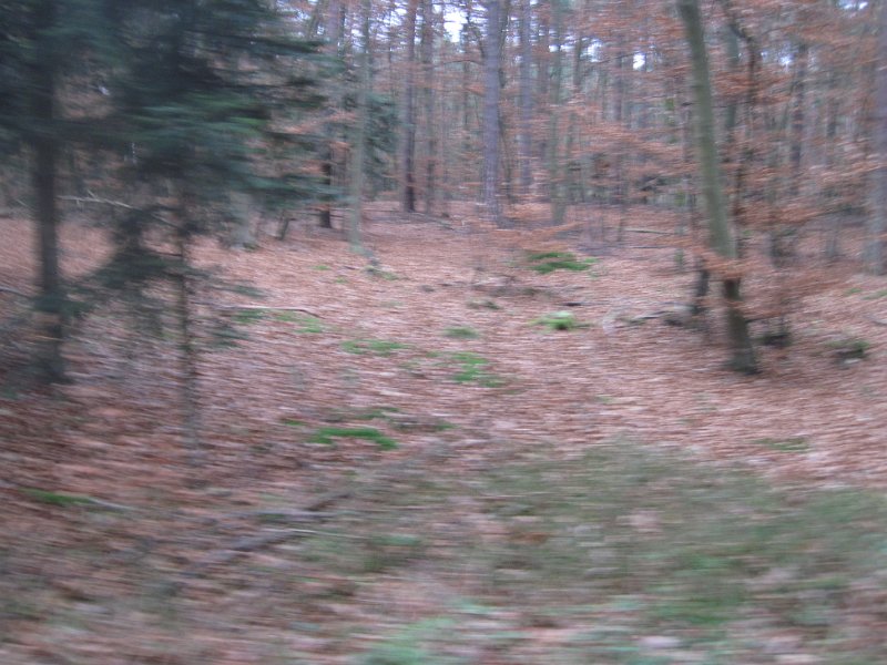 CTF Celle 094